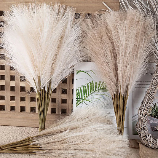 Fluffy Pampas Grass